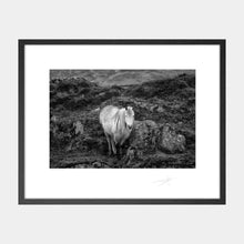 Load image into Gallery viewer, Connemara Pony