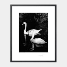 Load image into Gallery viewer, St Stephen&#39;s Green