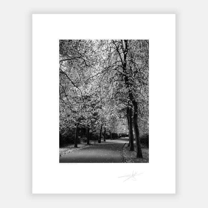 St Stephen's Green