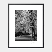 Load image into Gallery viewer, St Stephen&#39;s Green