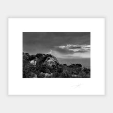 Load image into Gallery viewer, Donegal Sheep, 2022