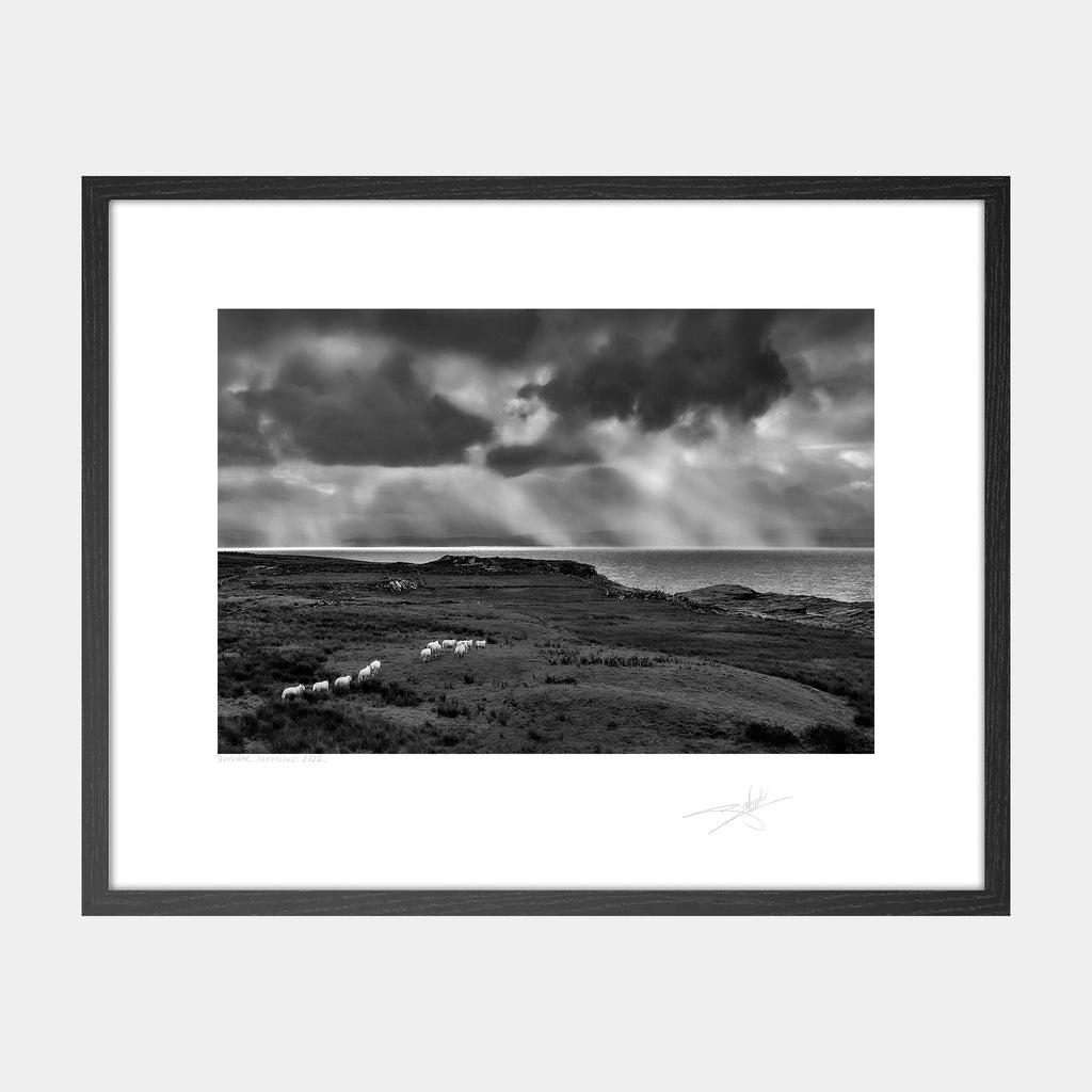 Donegal Coastline, 2022