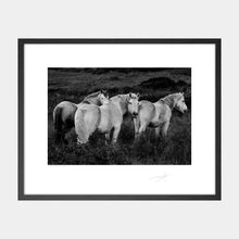 Load image into Gallery viewer, Horses, Donegal, 2022