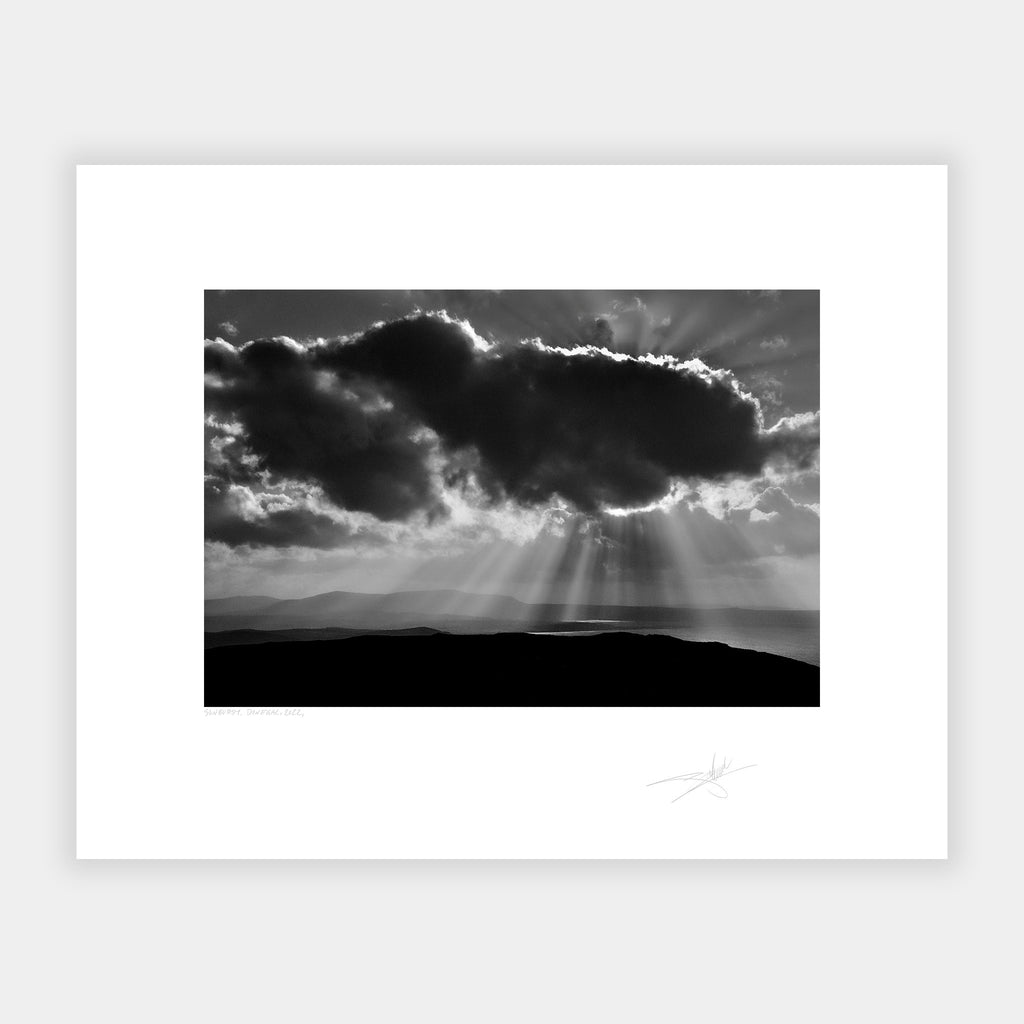 Donegal Sunburst, 2022