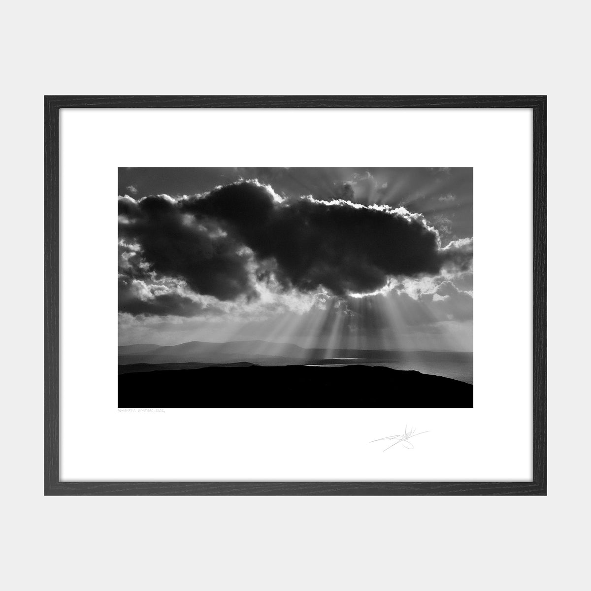 Donegal Sunburst, 2022