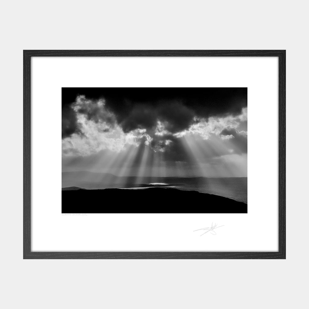 Donegal Sunburst, 2022