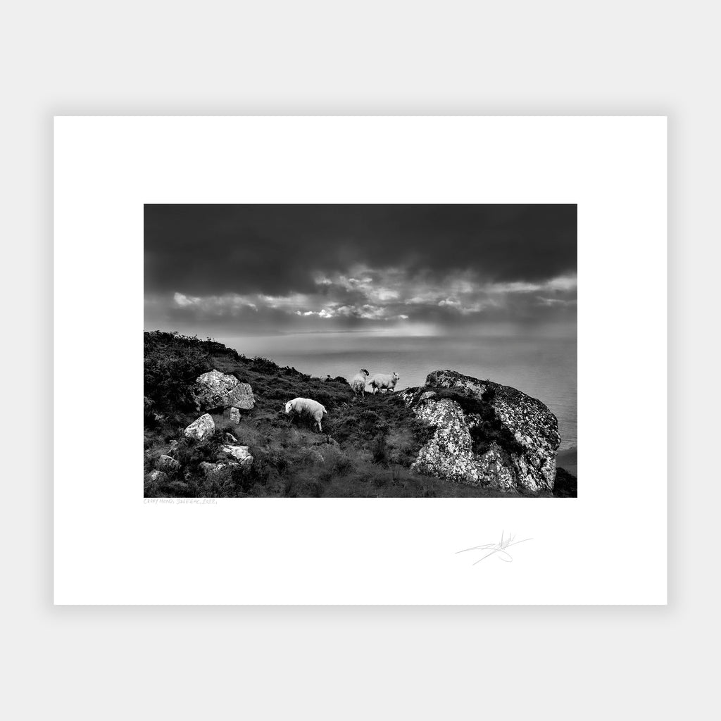 Crohy head, Donegal, 2022