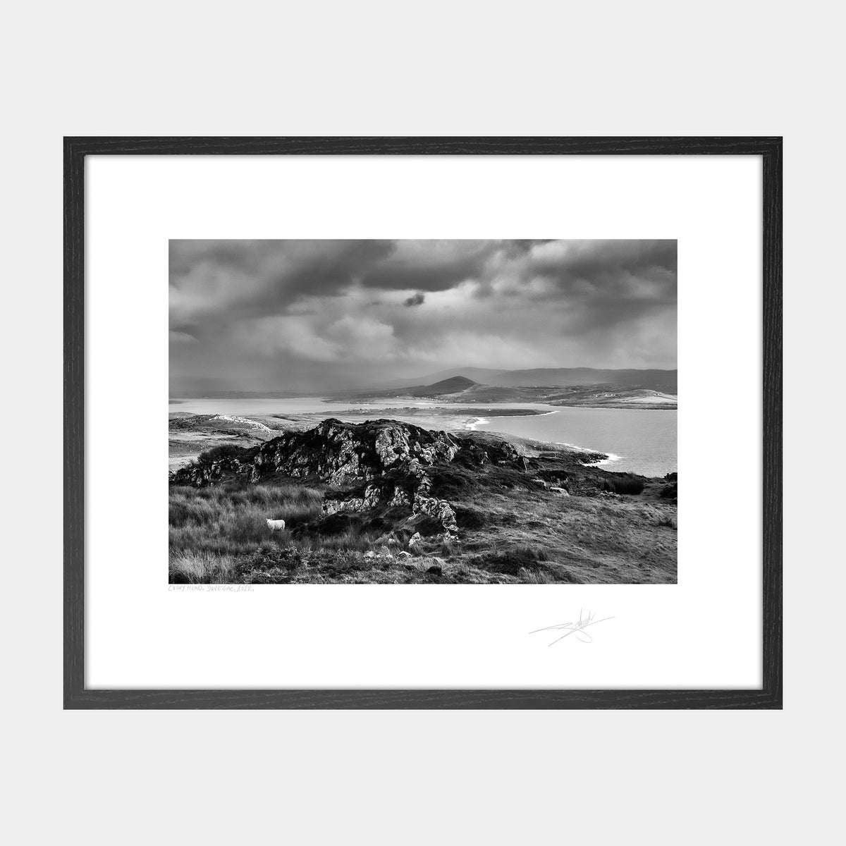 Crohy Head, Donegal 2022