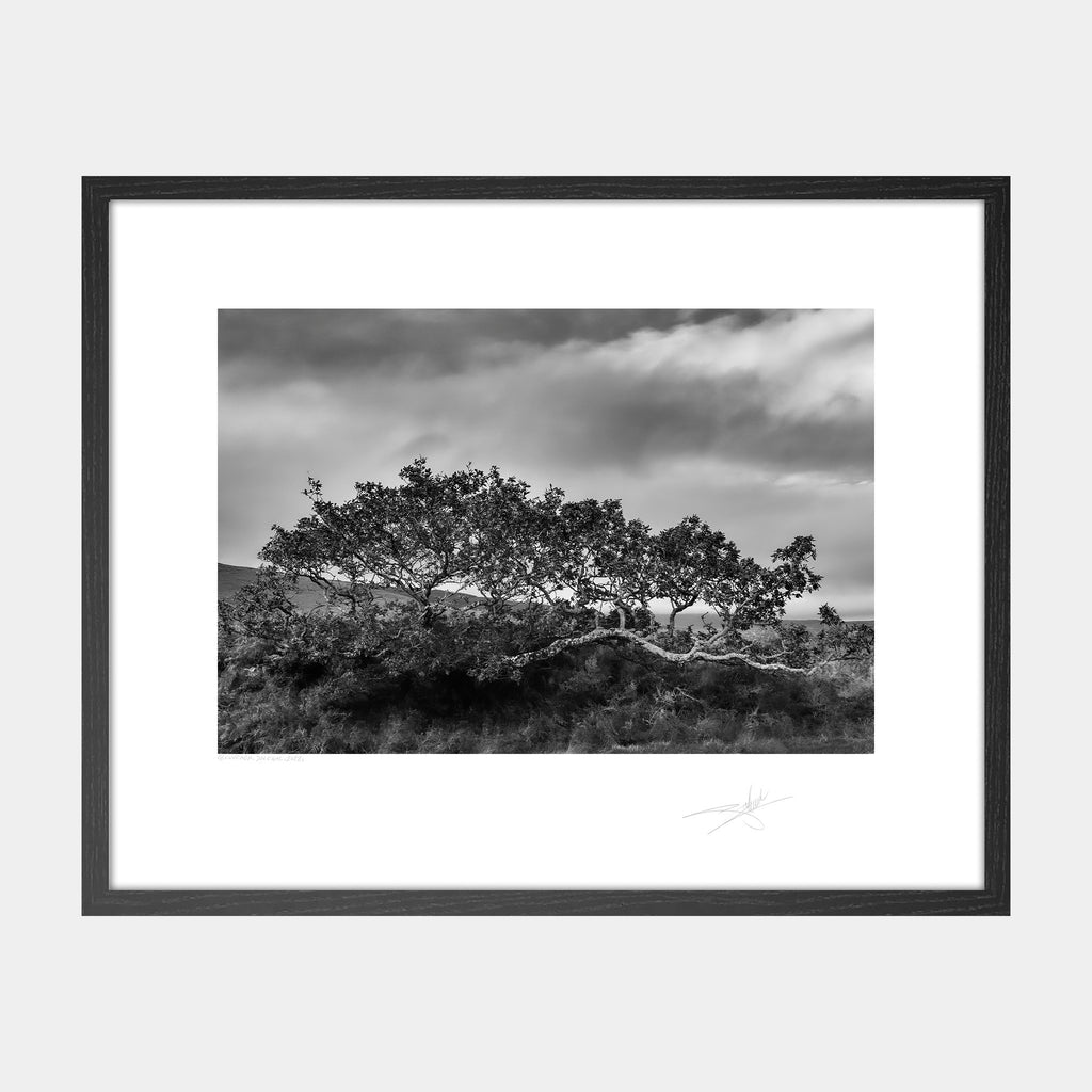 Glenveagh, Donegal, 2022