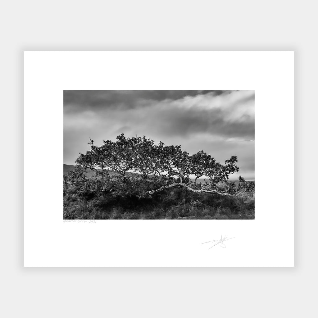 Glenveagh, Donegal, 2022