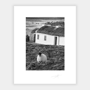 Donegal cottage