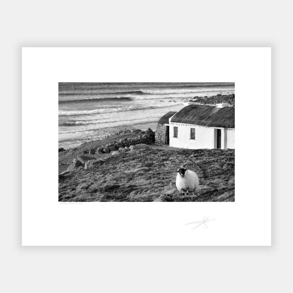 Donegal Cottage