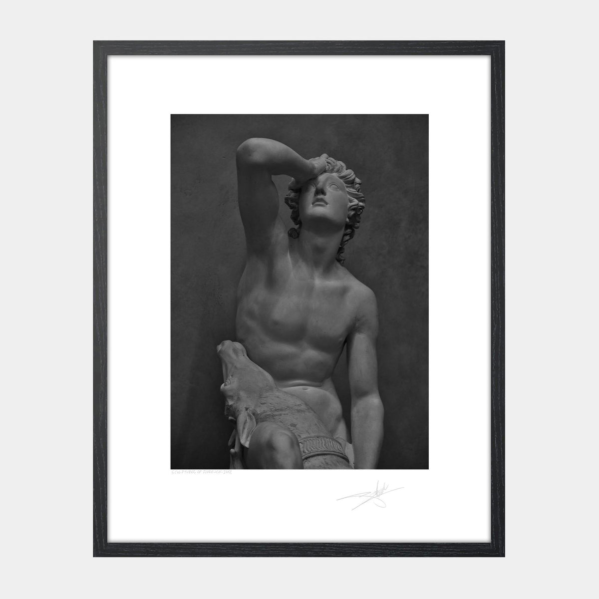 Sculptures of Florence