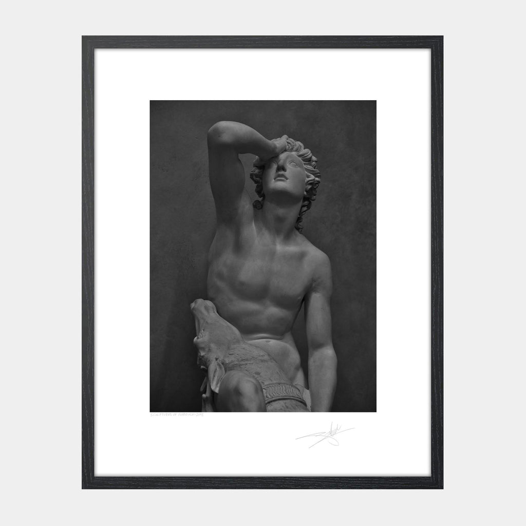 Sculptures of Florence