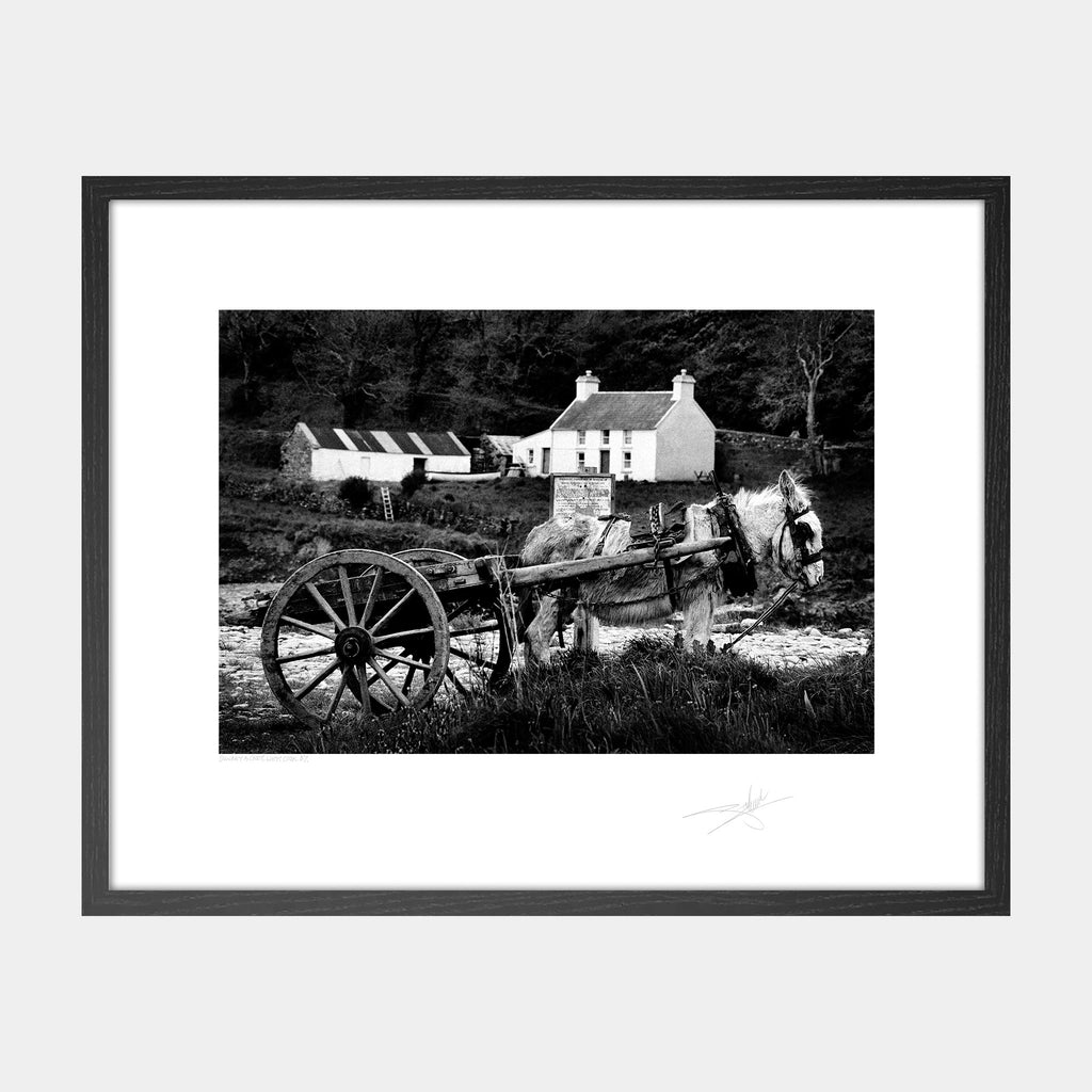 Donkeys Cart, West Cork '87 Ireland