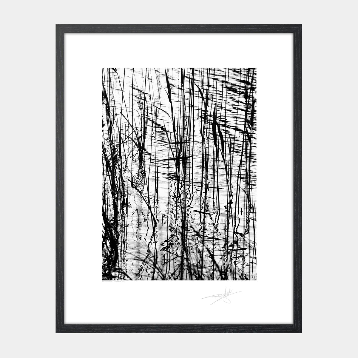 Water Reeds Connemara '92 Ireland