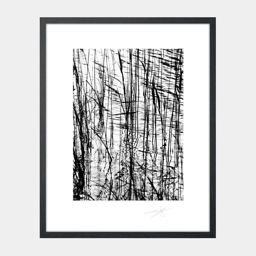 Water Reeds Connemara '92 Ireland