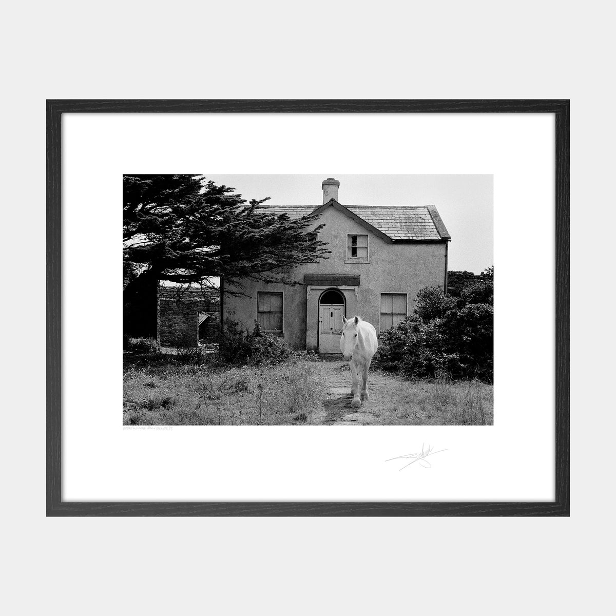 Horse & House Aran Islands '97 Ireland
