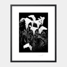 Load image into Gallery viewer, Easter lilies, Connemara &#39;99 Ireland Flowers