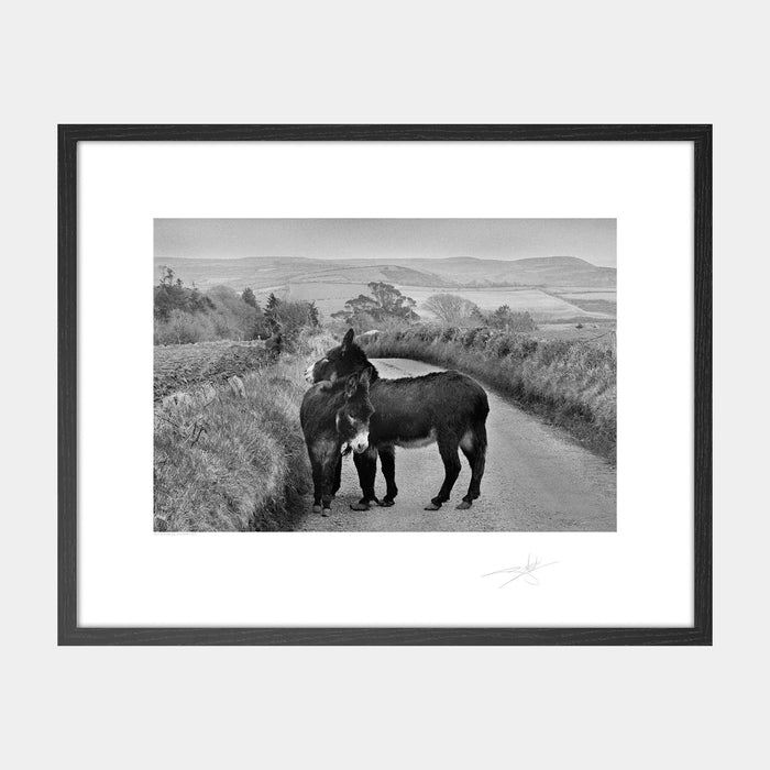 Two Donkeys Kinsale '81 Ireland