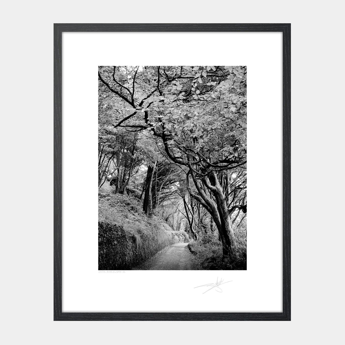 Lower Road Scilly walk Kinsale '01 Ireland