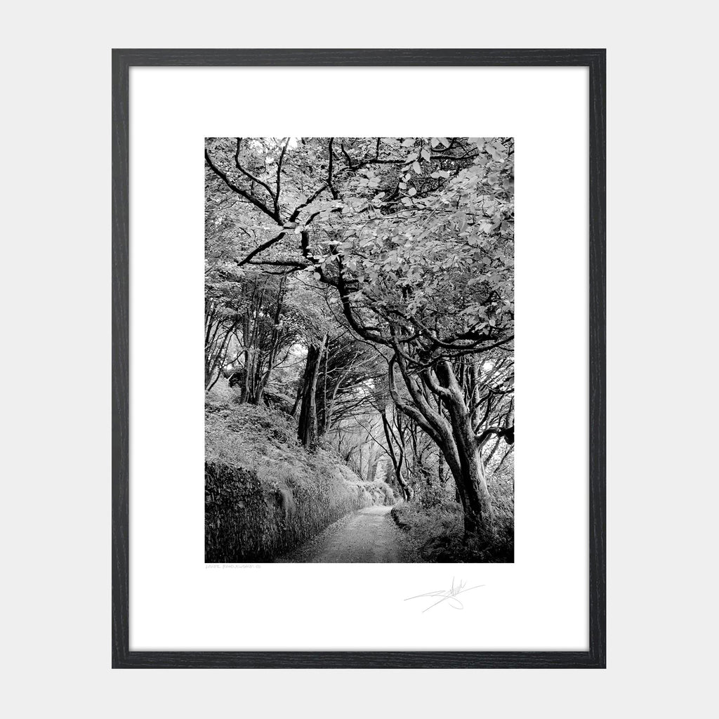 Lower Road Scilly walk Kinsale '01 Ireland