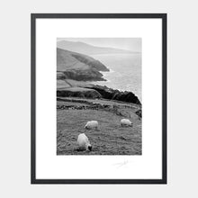 Load image into Gallery viewer, Dingle Sheep Kerry &#39;94 Ireland