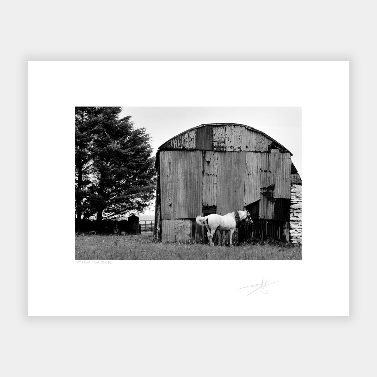 Horses Barn, West Cork '88 Ireland
