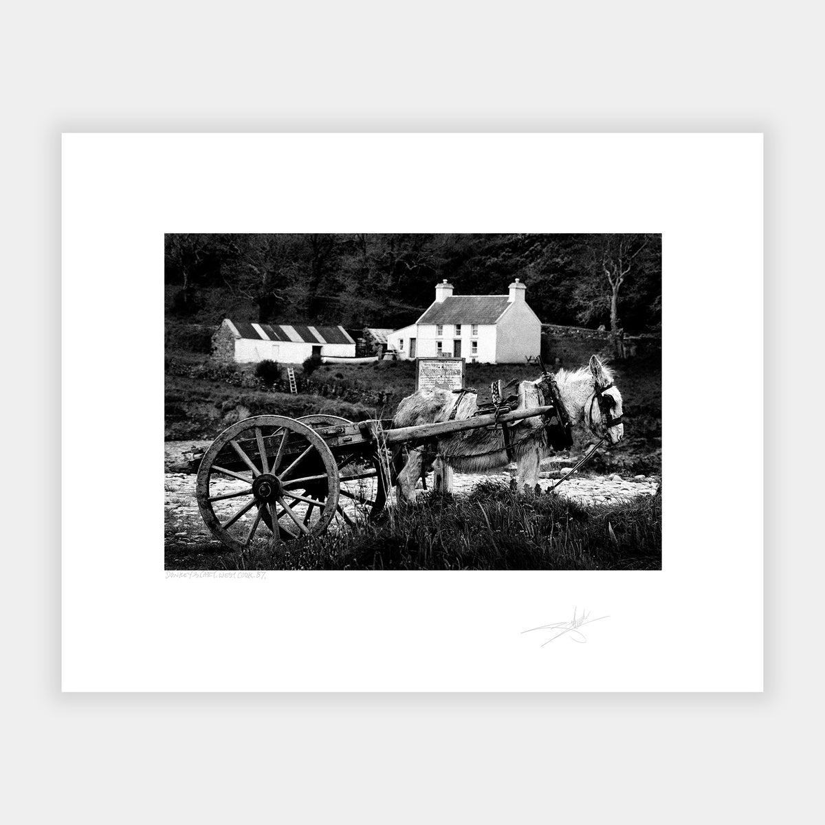 Donkeys Cart, West Cork '87 Ireland