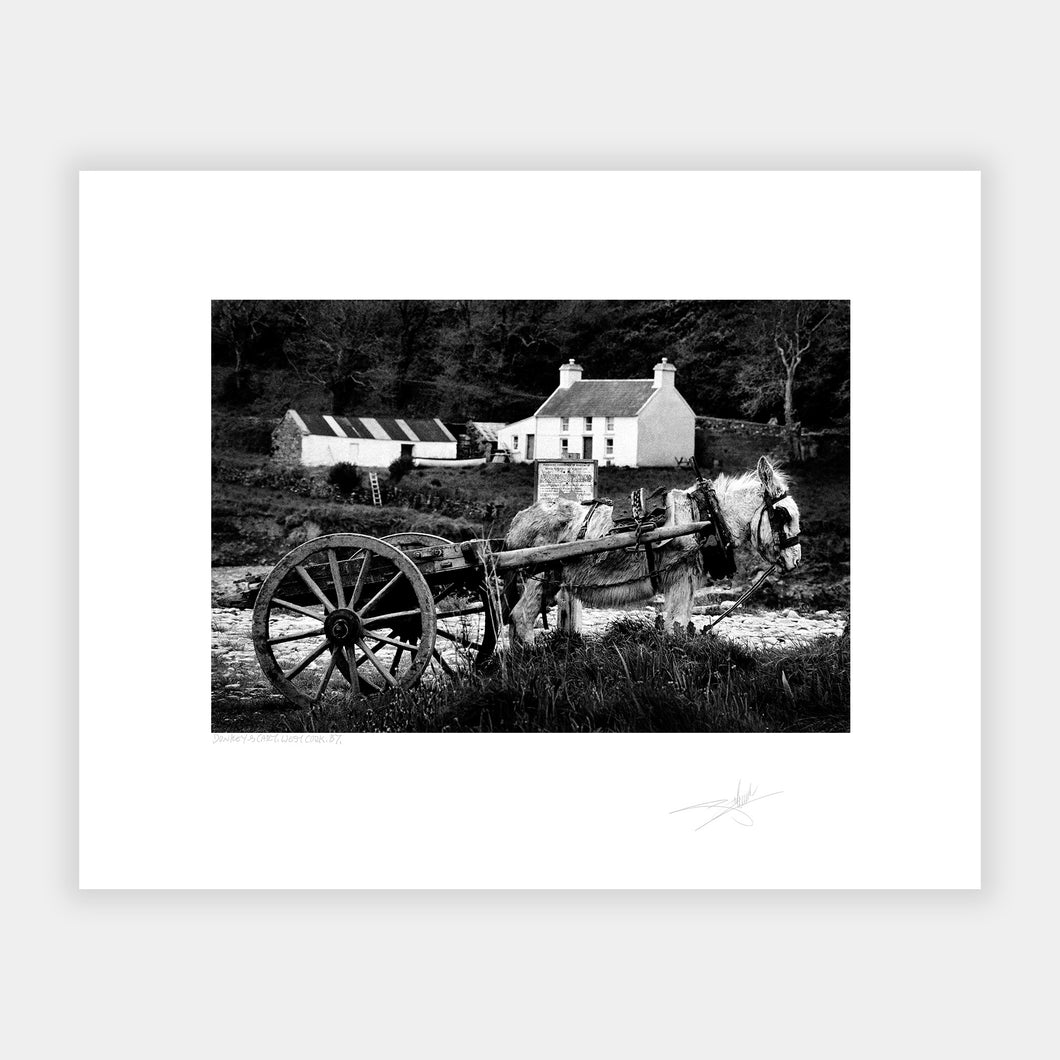 Donkeys Cart, West Cork '87 Ireland