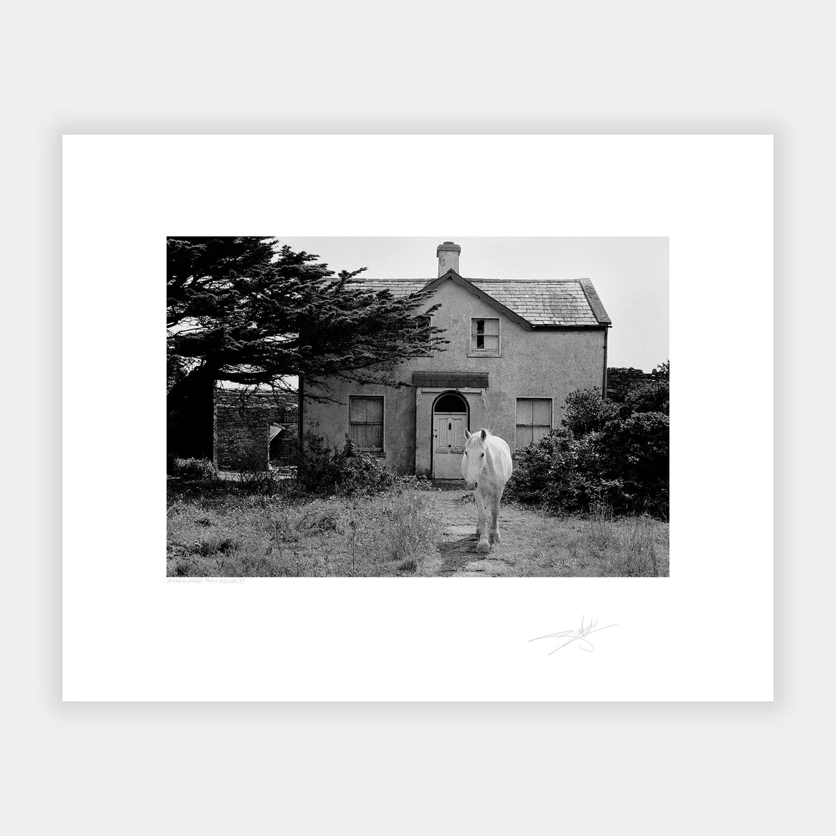 Horse & House Aran Islands '97 Ireland