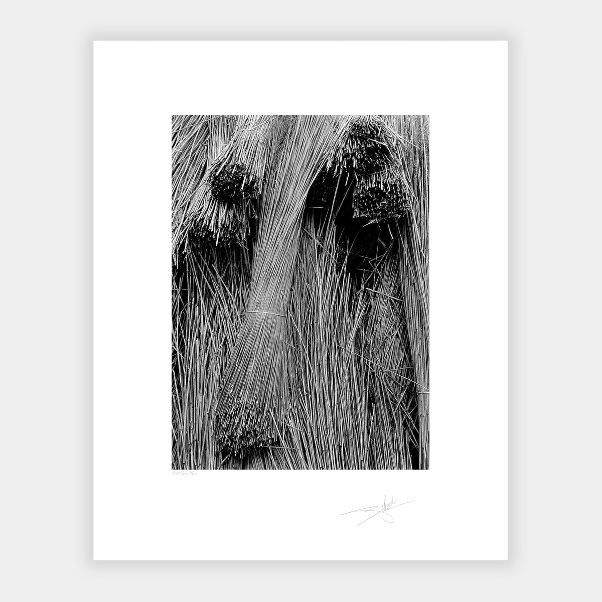 Thatch Bunratty Castle & Folk Park '94 Clare Ireland