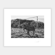 Load image into Gallery viewer, Dingle Donkey