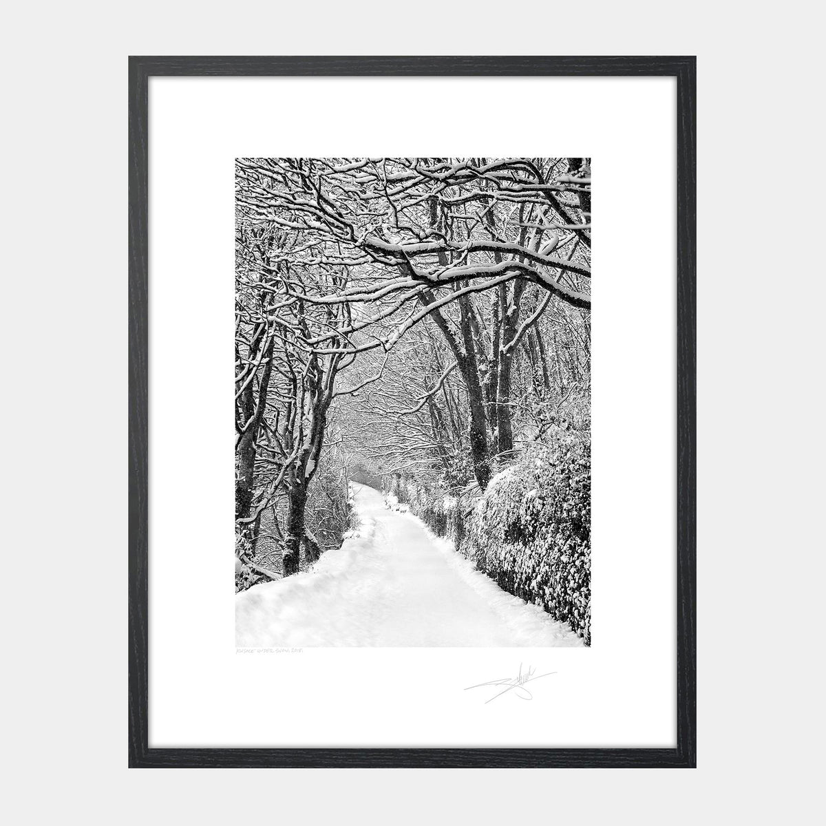 Lower road Kinsale under snow Ireland 2018