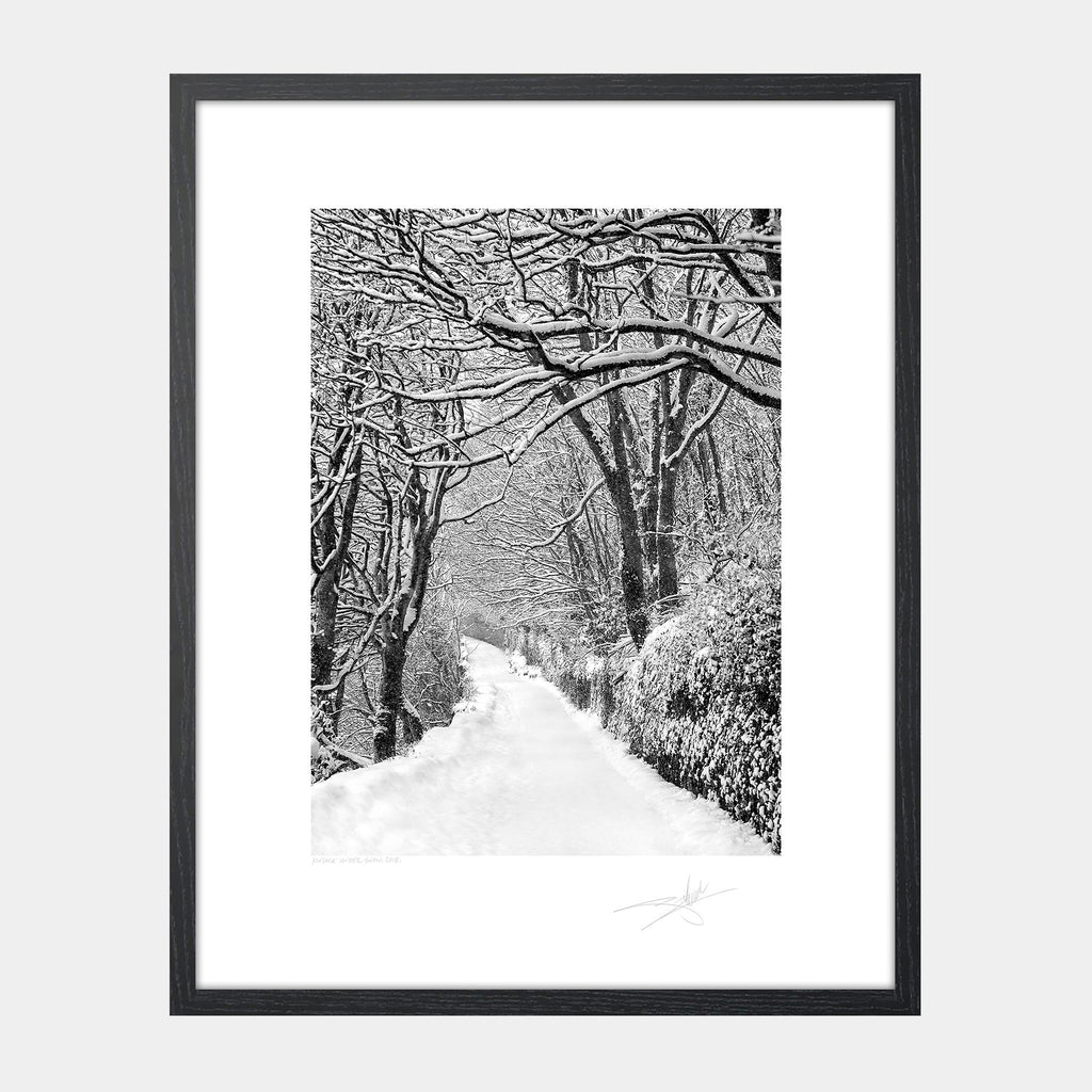 Lower road Kinsale under snow Ireland 2018