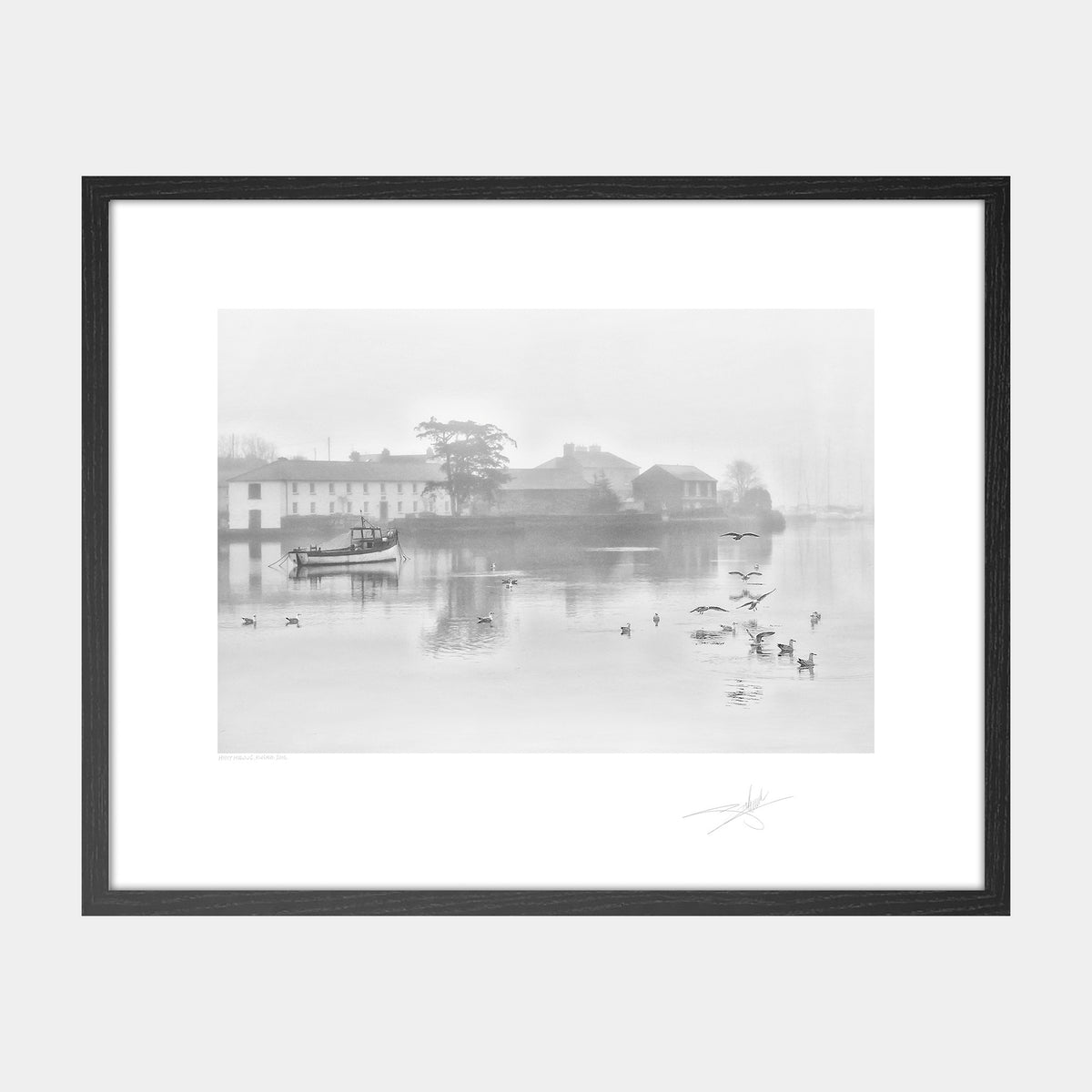 Misty Morning, Kinsale 2016 Ireland