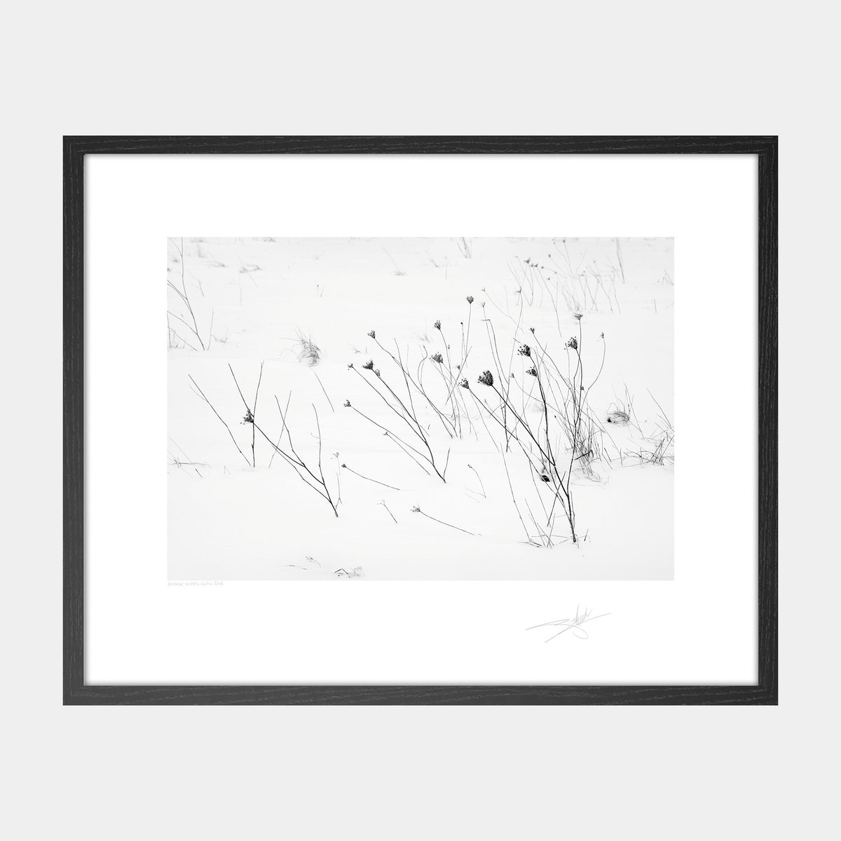 Kinsale under snow Ireland 2018