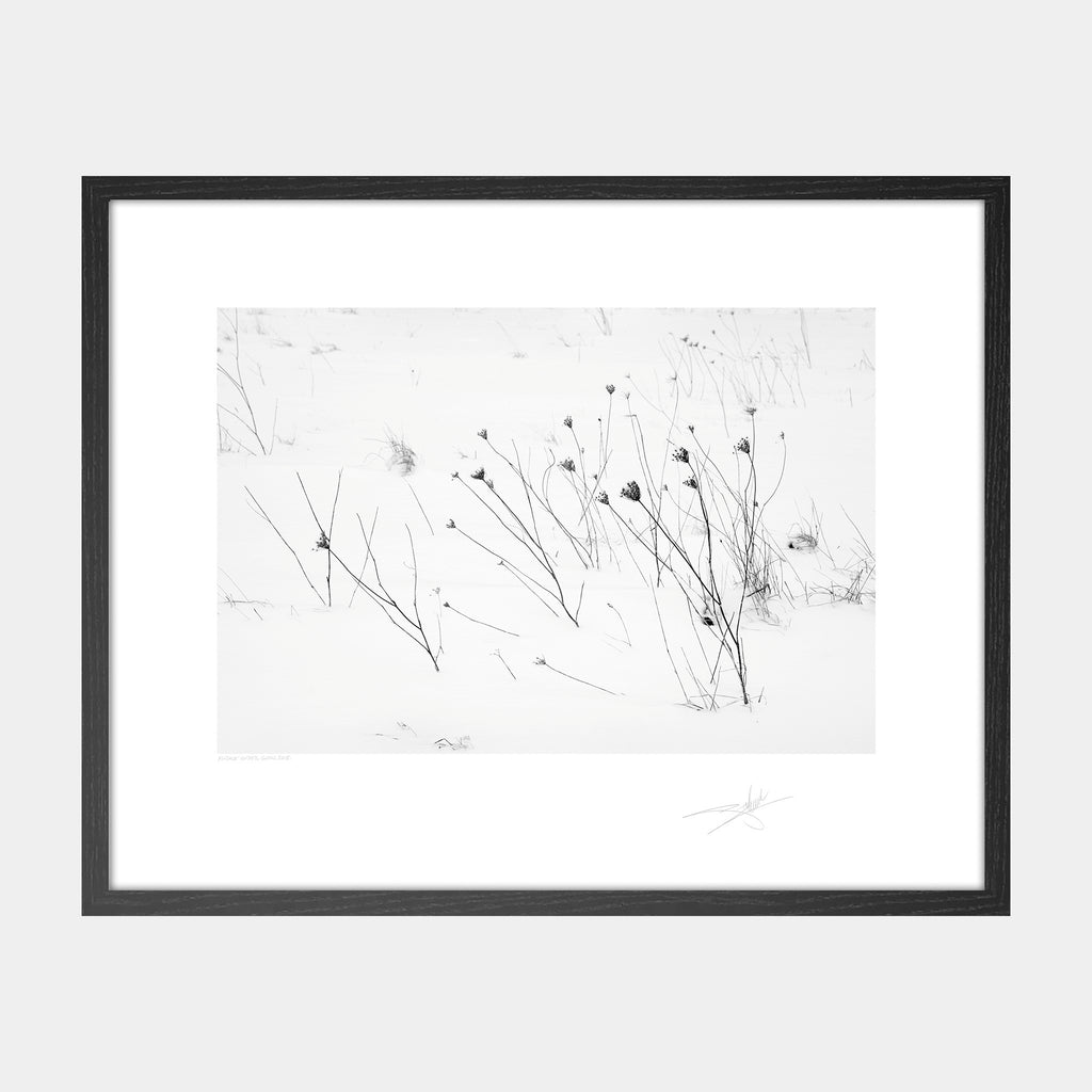 Kinsale under snow Ireland 2018