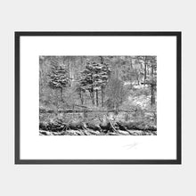 Load image into Gallery viewer, Kinsale trees under snow 2018