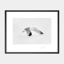 Load image into Gallery viewer, Snow bird Kinsale under snow Ireland 2018
