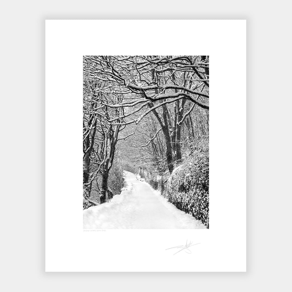 Lower road Kinsale Under Snow 2018 Ireland