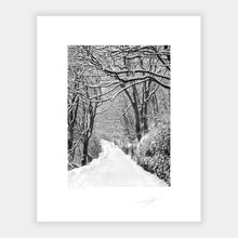 Load image into Gallery viewer, Lower road Kinsale Under Snow 2018 Ireland