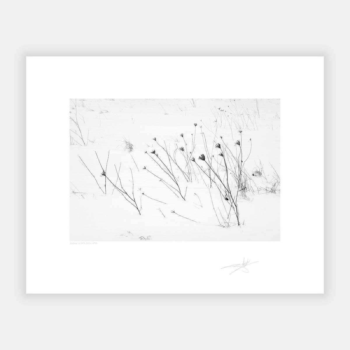 Kinsale under snow Kinsale Ireland 2018