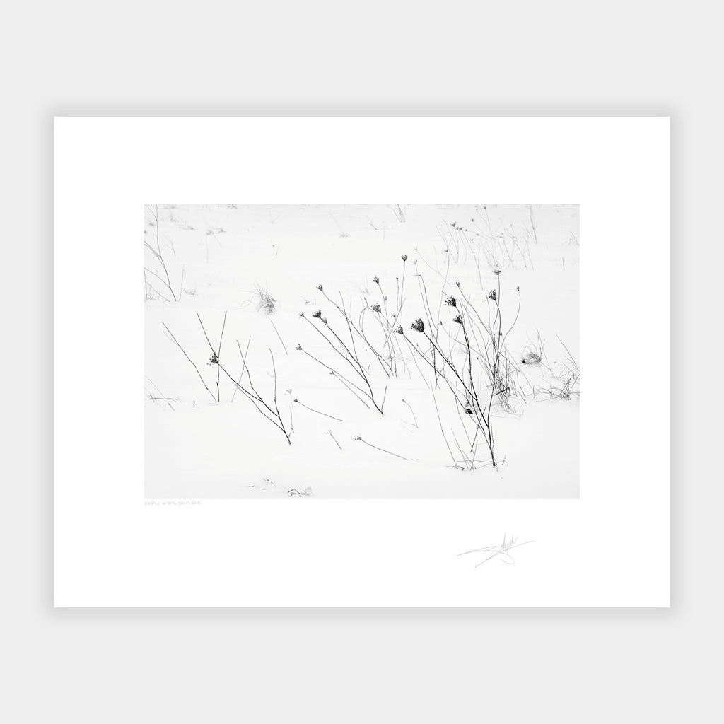 Kinsale under snow Kinsale Ireland 2018