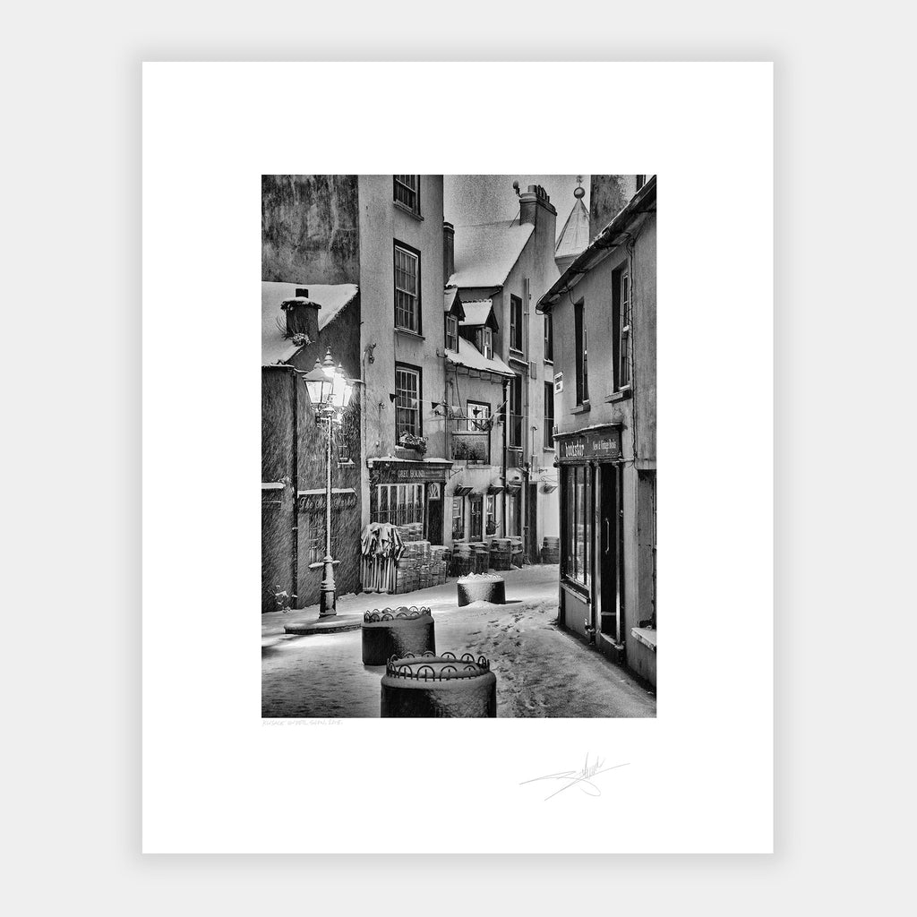 The greyhound Kinsale under snow, 2018 Ireland