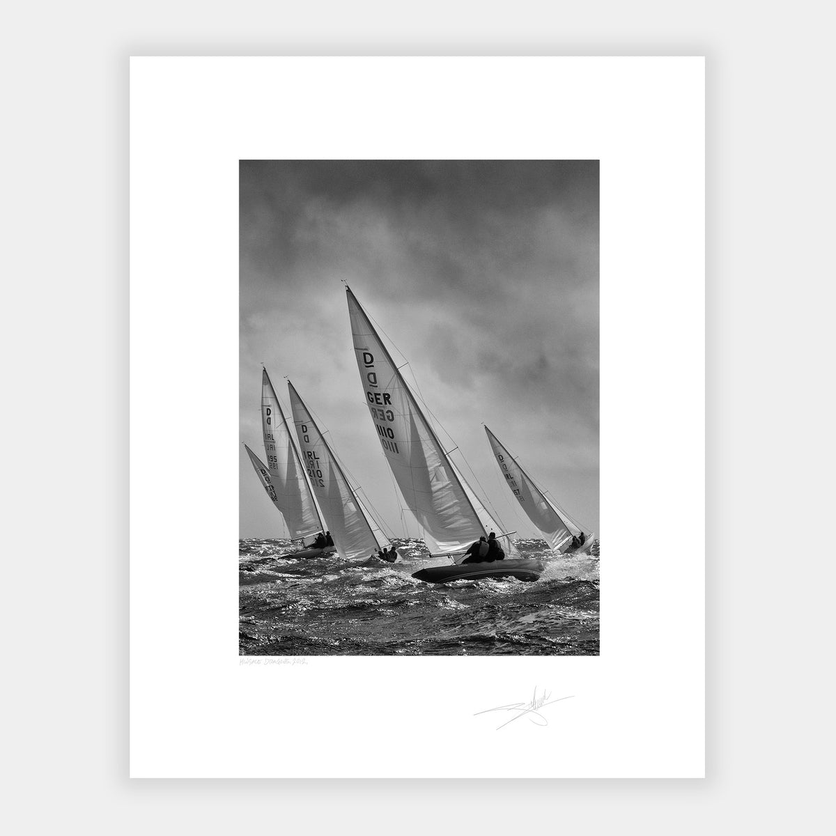 Kinsale Dragons Ireland 2012