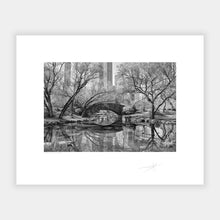Load image into Gallery viewer, Central Park