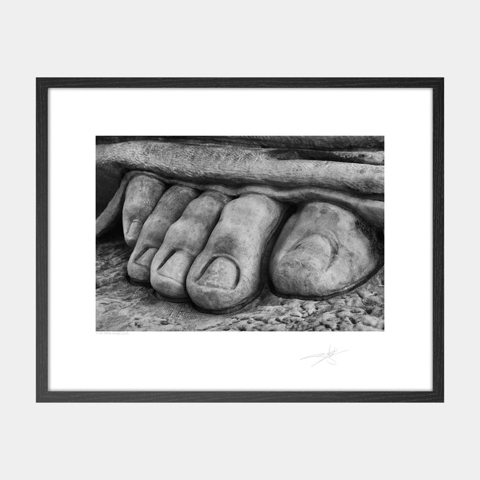Five Toes