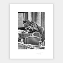 Load image into Gallery viewer, Old Lady