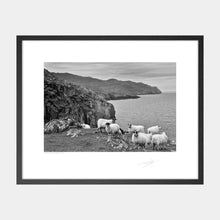 Load image into Gallery viewer, Sheep&#39;s Head Sheep